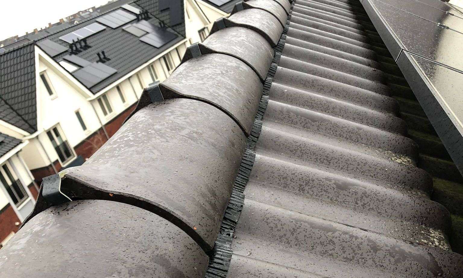 Nieuwe nokvorsten geplaatst in 0341